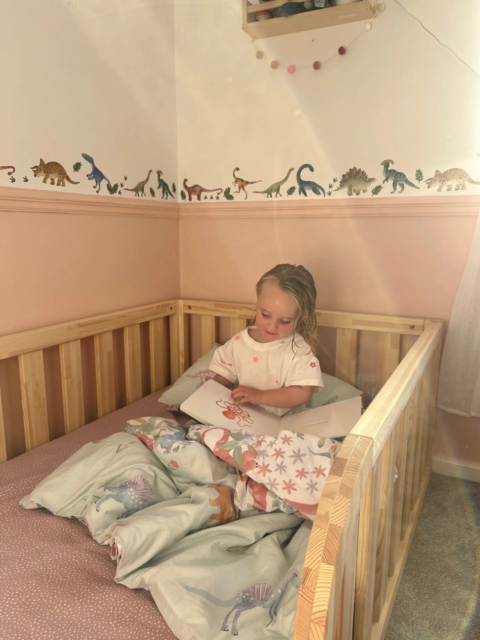 Dinosaur Adventure Nursery Wall Stickers - Image 6
